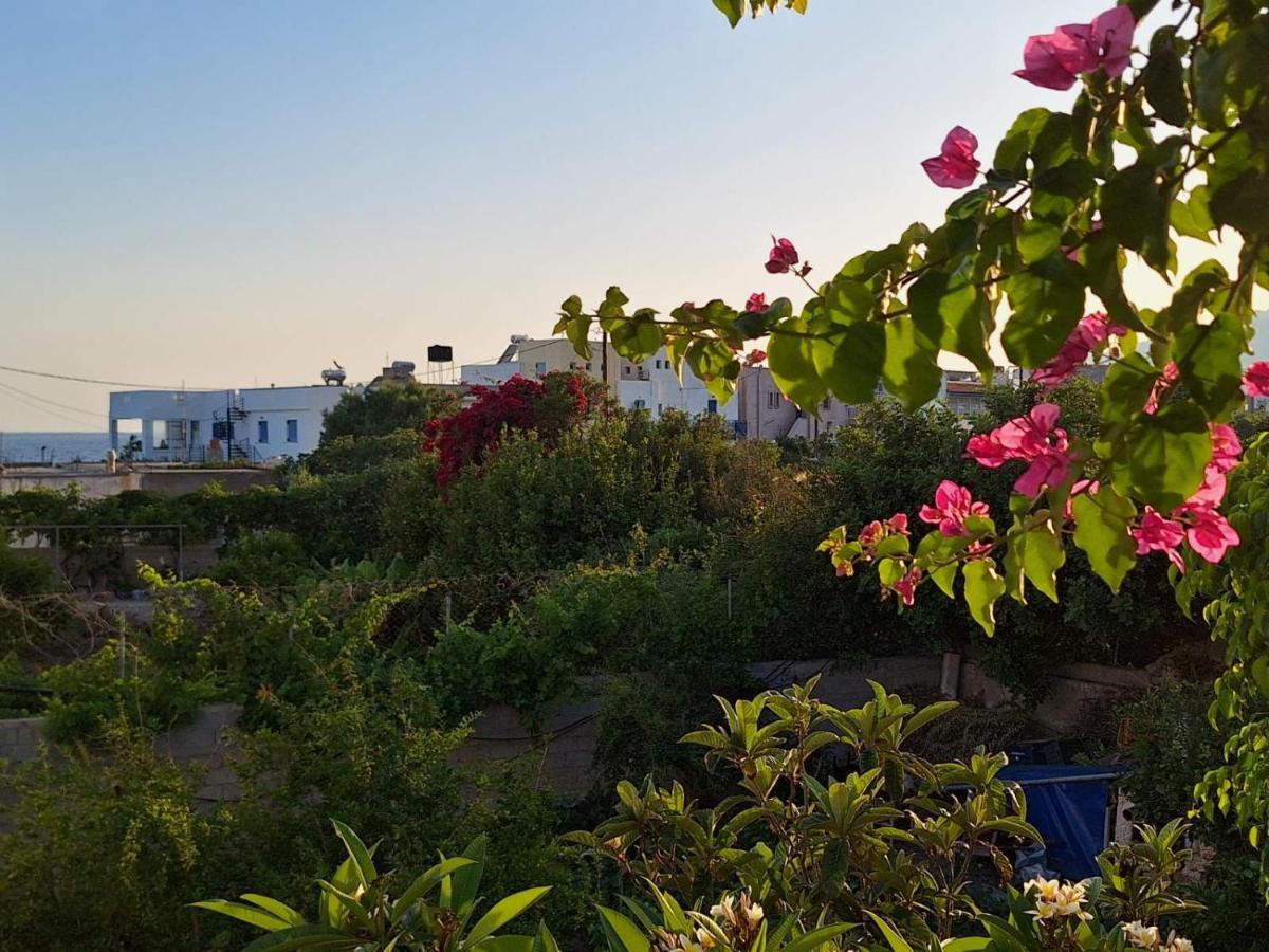 Βig Βlue Apartments Makry Gialos  Exterior photo