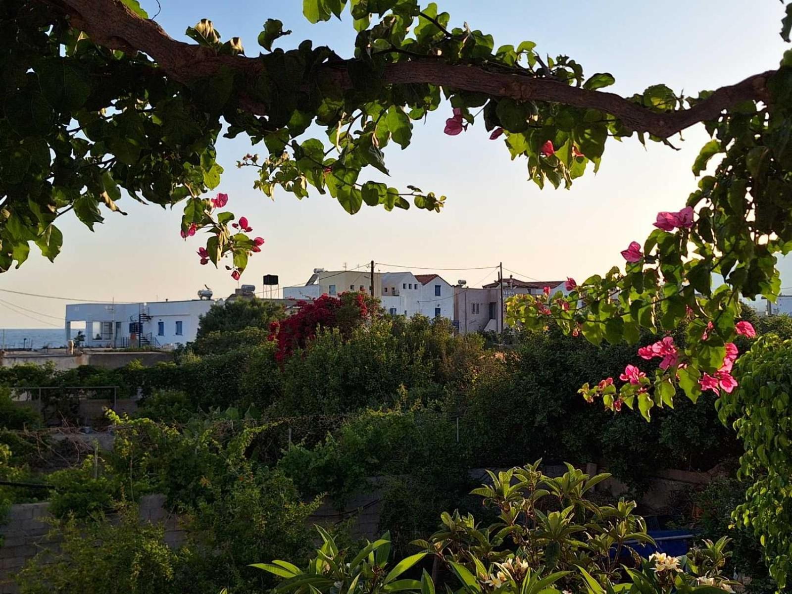 Βig Βlue Apartments Makry Gialos  Exterior photo