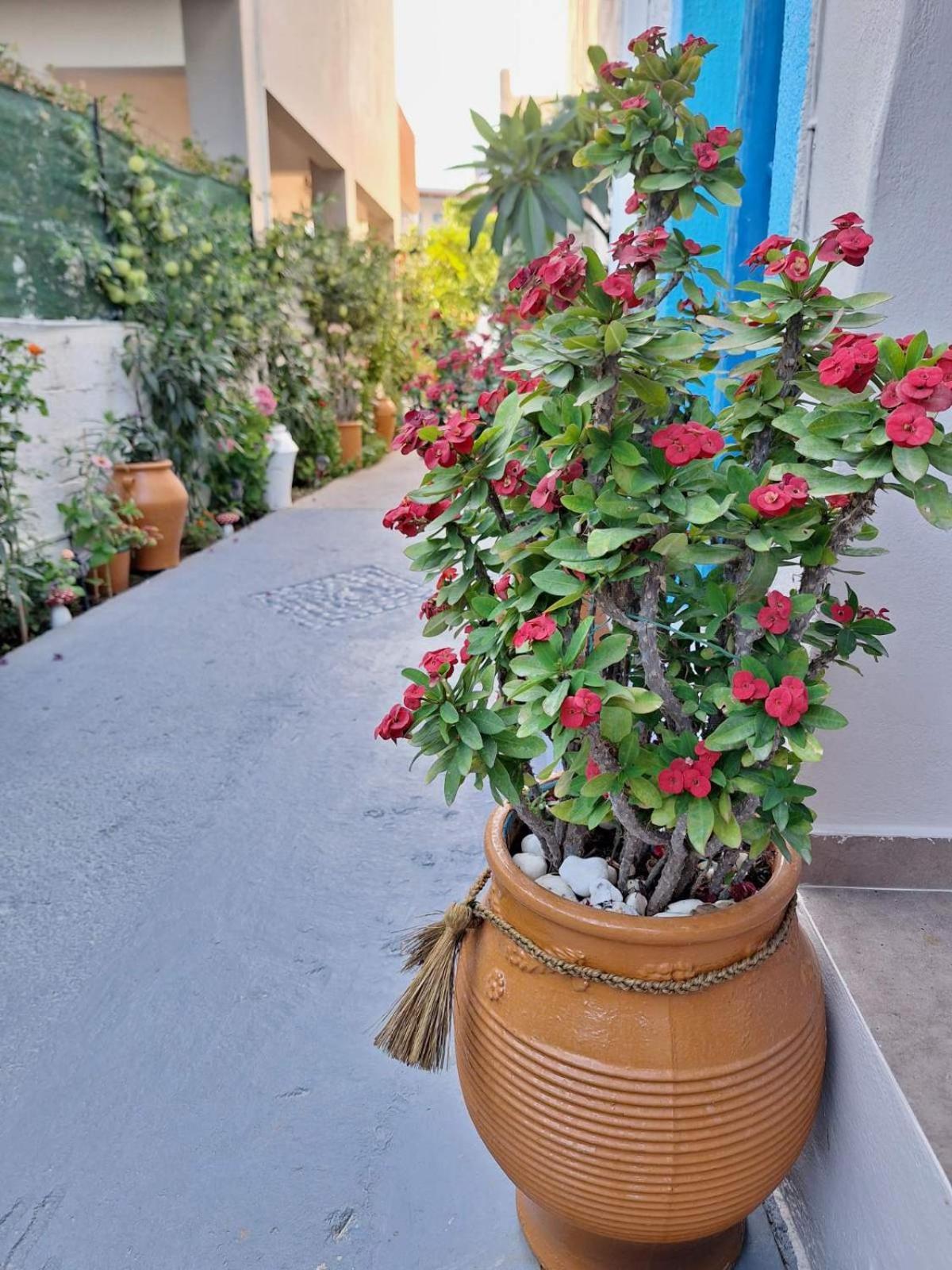 Βig Βlue Apartments Makry Gialos  Exterior photo
