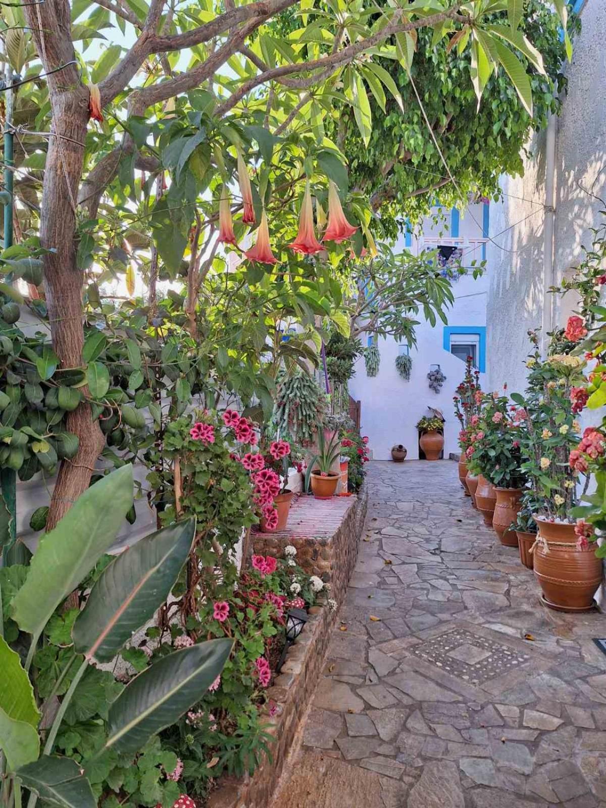 Βig Βlue Apartments Makry Gialos  Exterior photo