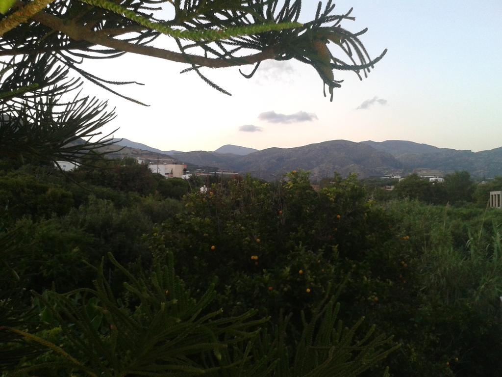 Βig Βlue Apartments Makry Gialos  Room photo